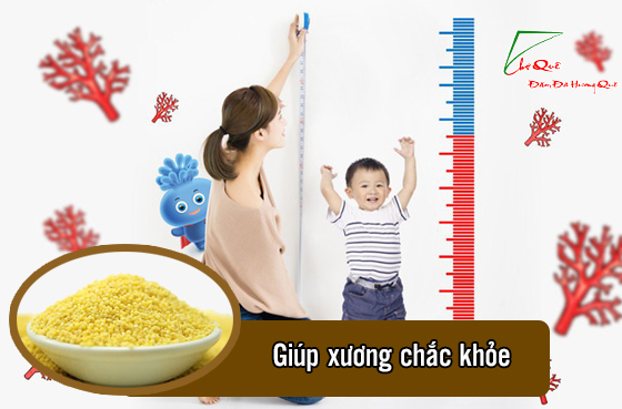 Hạt kê có tác dụng trừ những bệnh gì?